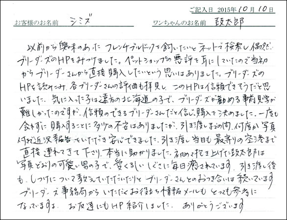 子犬お客様の声