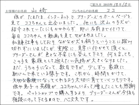 子犬お客様の声