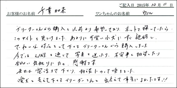 子犬お客様の声