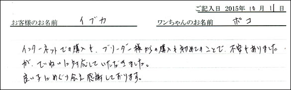 子犬お客様の声