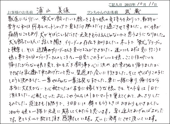 子犬お客様の声