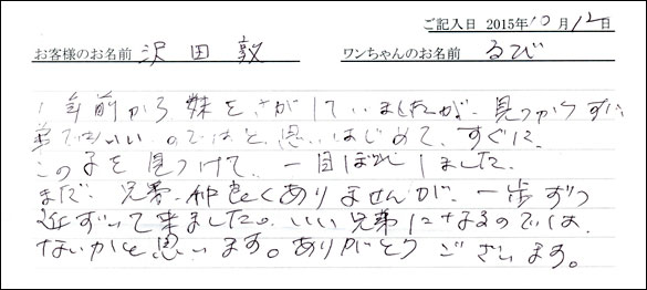 子犬お客様の声