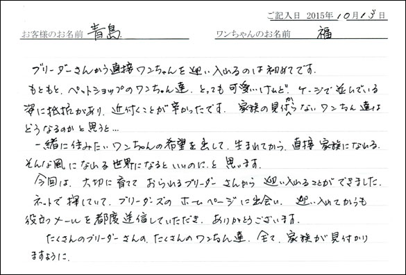 子犬お客様の声