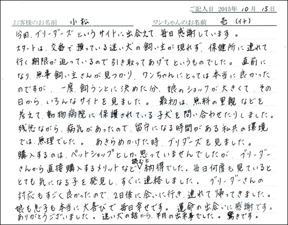 子犬お客様の声