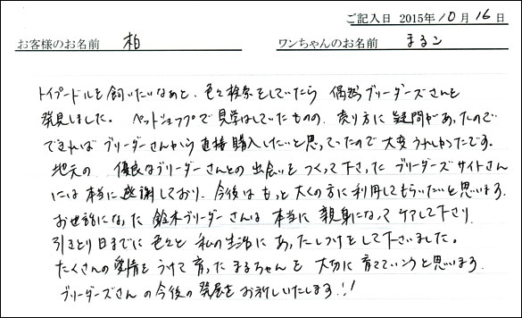 子犬お客様の声