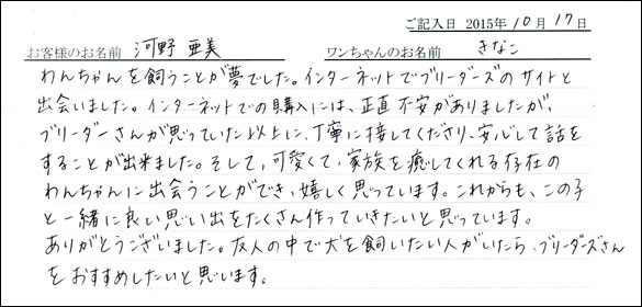 子犬お客様の声