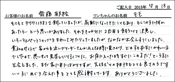 子犬お客様の声