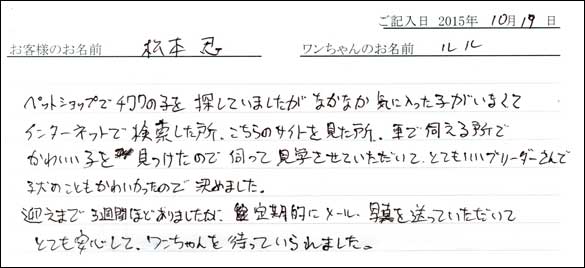子犬お客様の声