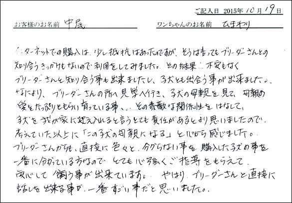 子犬お客様の声