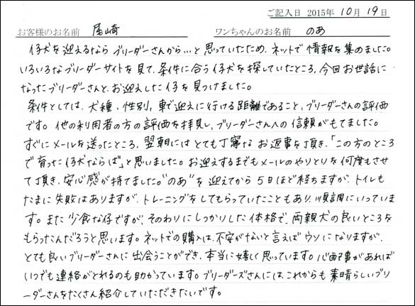 子犬お客様の声