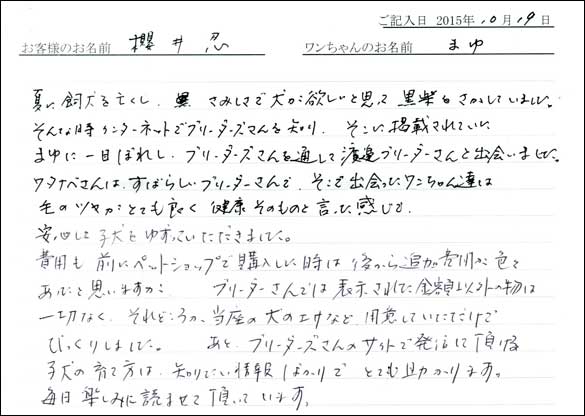 子犬お客様の声