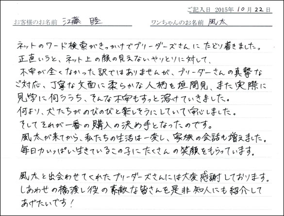 子犬お客様の声