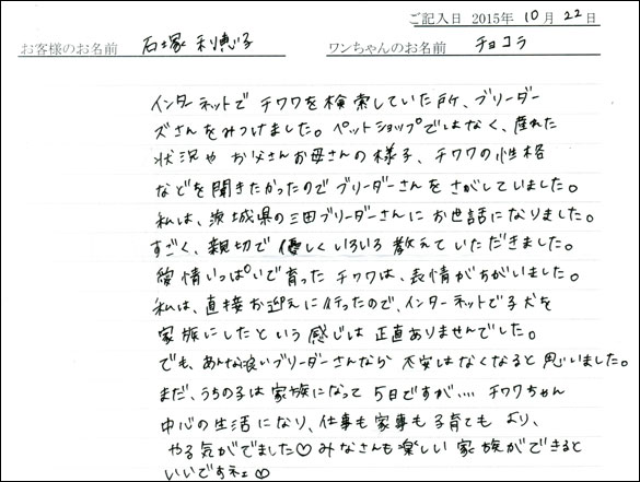 子犬お客様の声