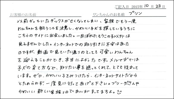 子犬お客様の声