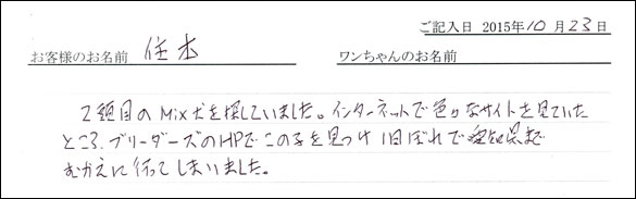 子犬お客様の声