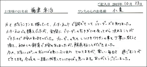 子犬お客様の声