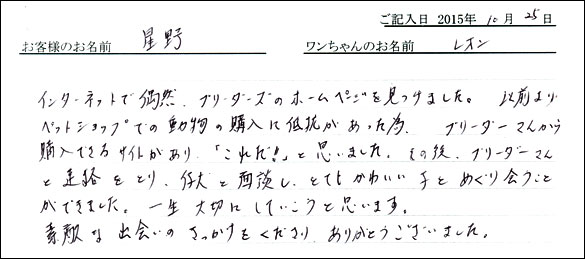 子犬お客様の声