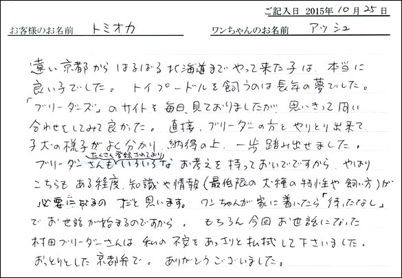 子犬お客様の声