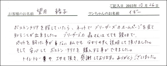 子犬お客様の声