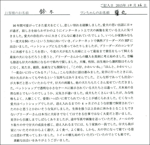子犬お客様の声