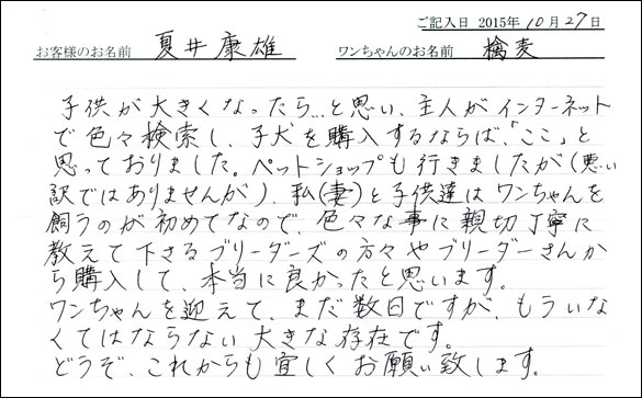 子犬お客様の声
