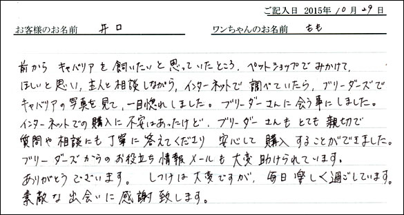 子犬お客様の声