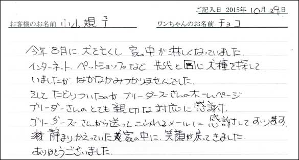 子犬お客様の声