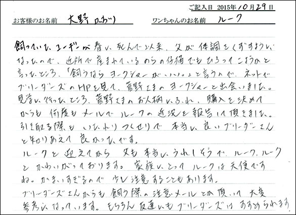 子犬お客様の声