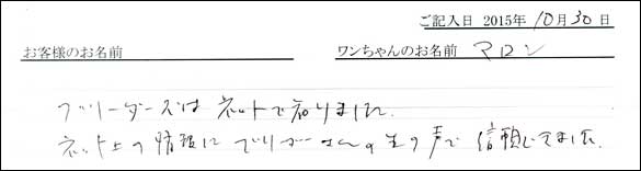 子犬お客様の声