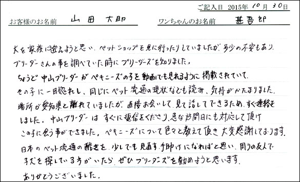 子犬お客様の声