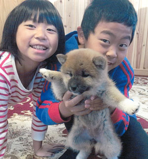 子犬写真