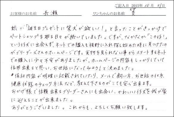 子犬お客様の声