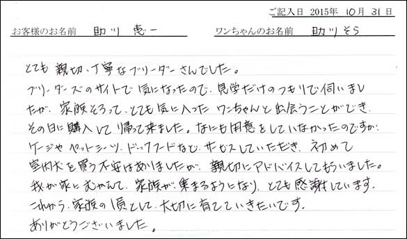 子犬お客様の声