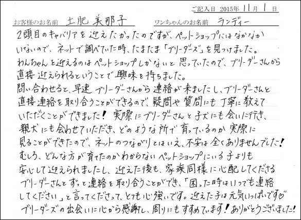 子犬お客様の声