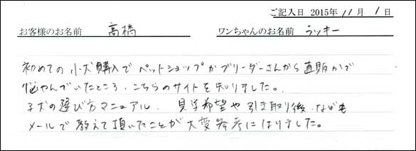子犬お客様の声