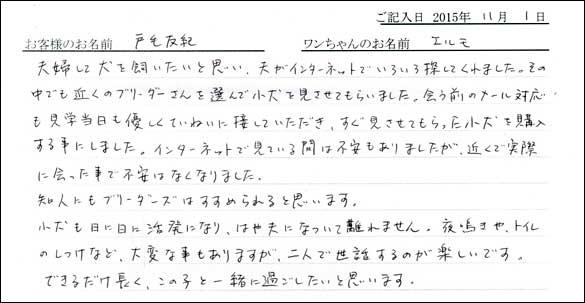 子犬お客様の声