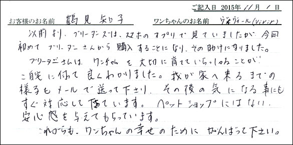 子犬お客様の声