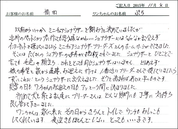 子犬お客様の声