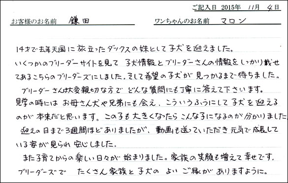 子犬お客様の声