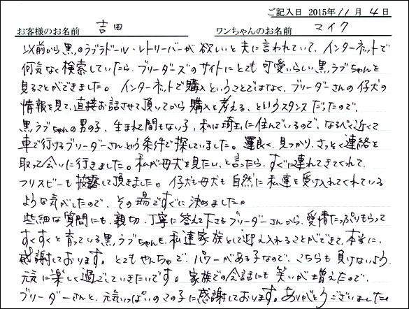 子犬お客様の声