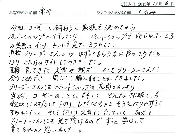 子犬お客様の声