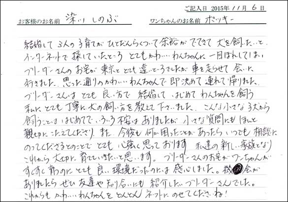 子犬お客様の声
