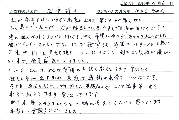 子犬お客様の声