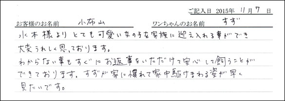 子犬お客様の声