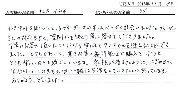 子犬お客様の声