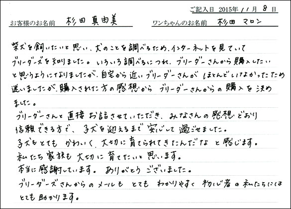子犬お客様の声