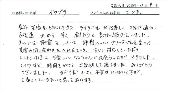 子犬お客様の声