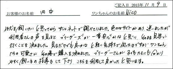 子犬お客様の声