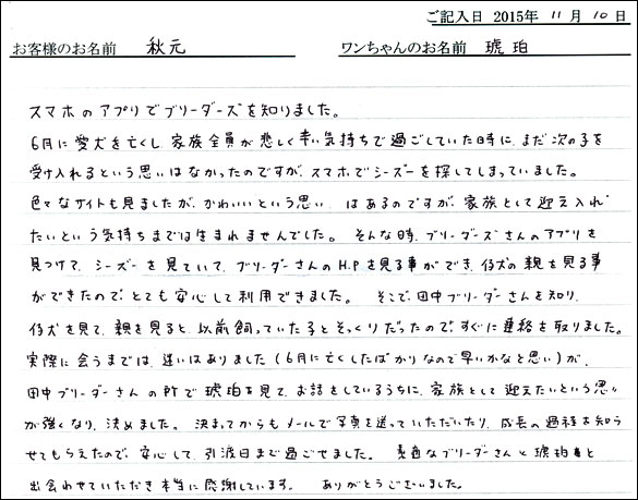 子犬お客様の声