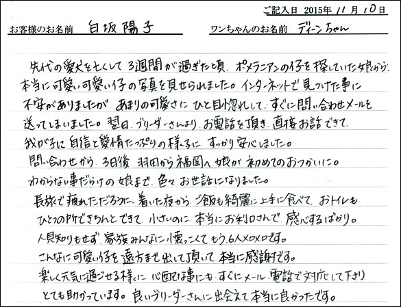 子犬お客様の声